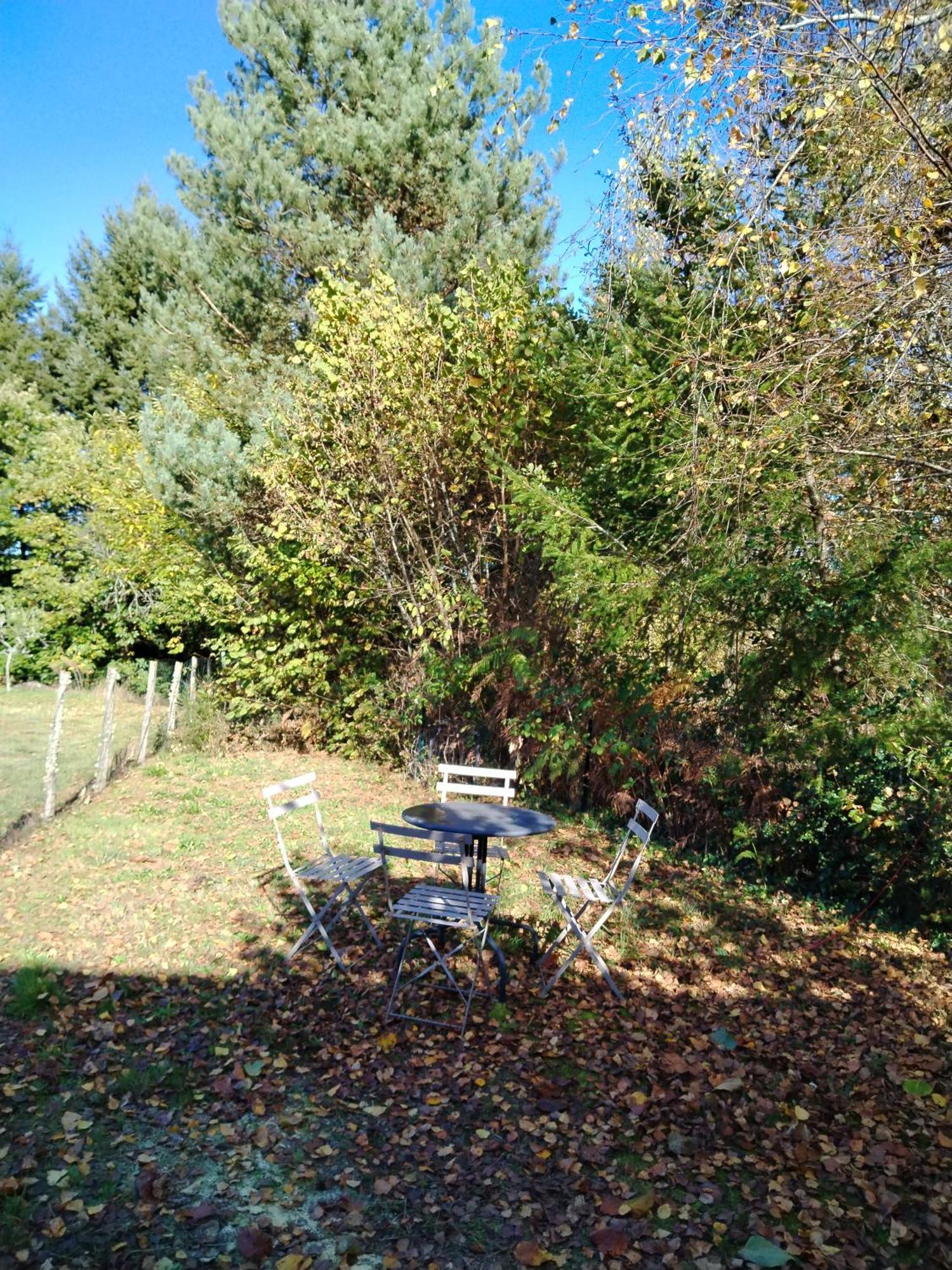 Maisonette Next To Woodland